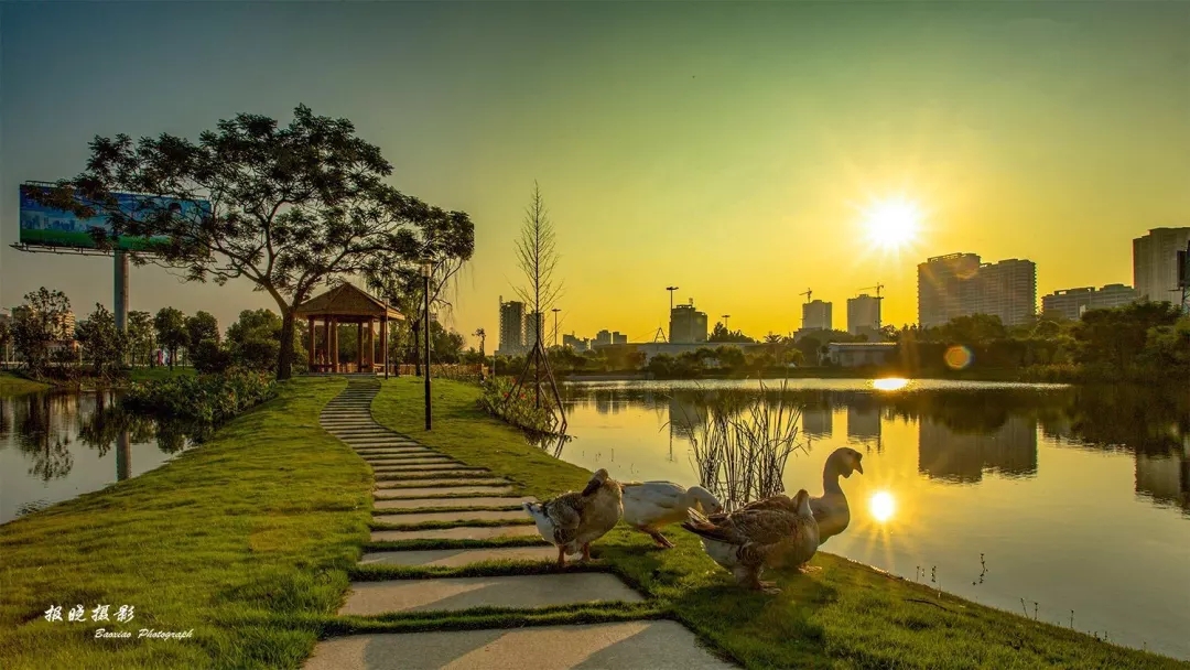 海灣濕地公園怎么樣